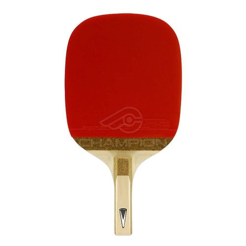Champion table tennis - champion, penhold